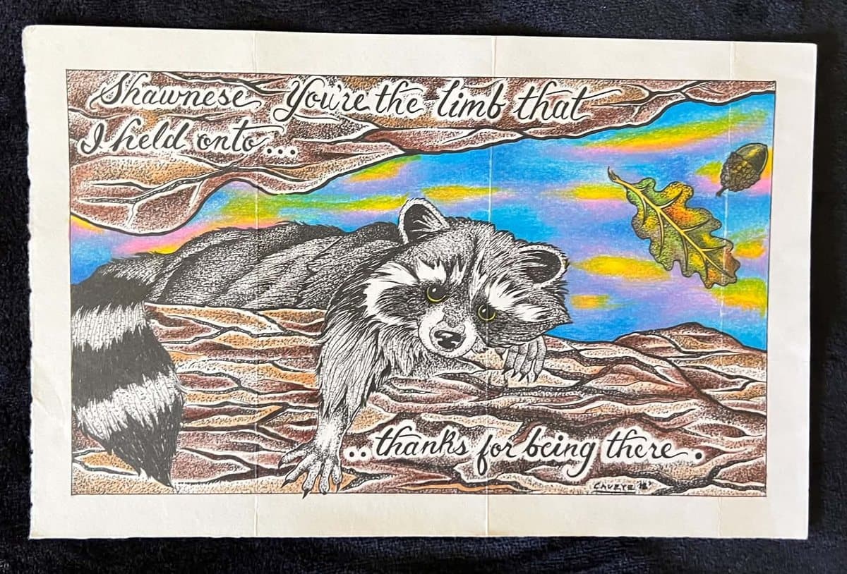 James's colored-pencil raccoon drawing